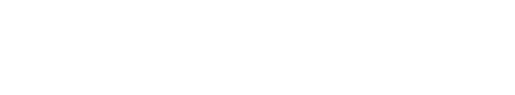 서브비주얼 텍스트